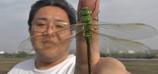 動物ジャーナリスト　佐藤榮記